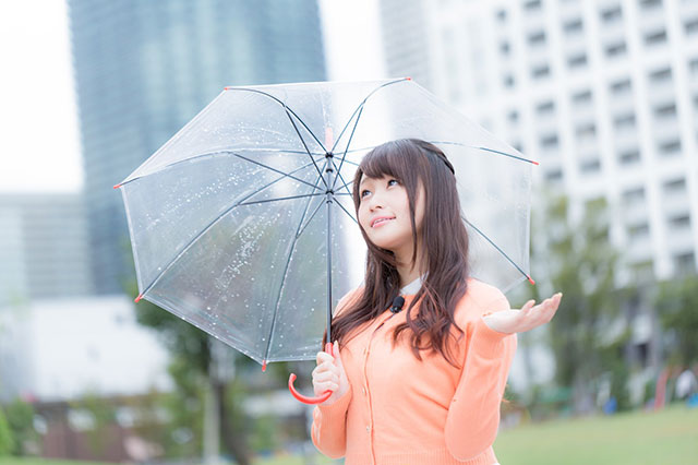 季節や天候で出会える確率は変わる